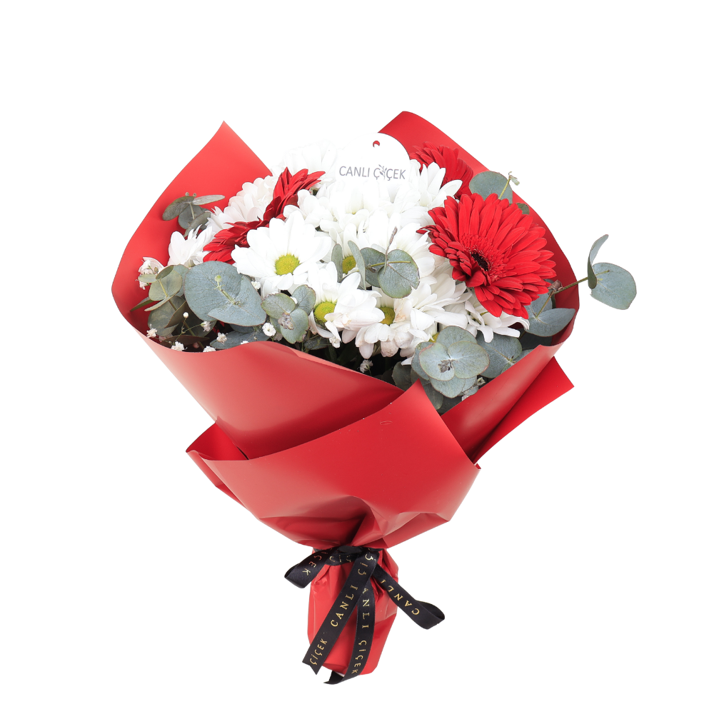 Beyaz Papatya & Kırmızı Gerbera Buketi