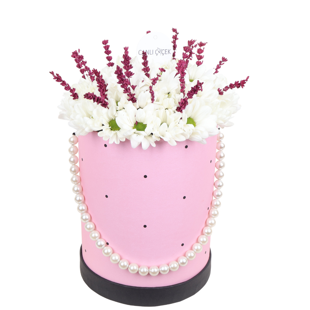 Pembe Kutuda Papatyalar